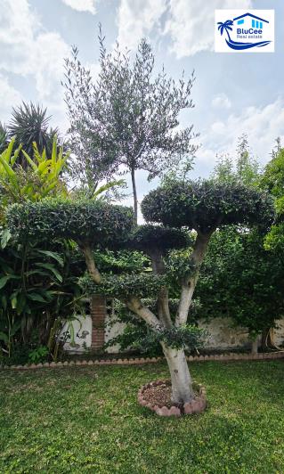 Image No.31-4 Bed Villa for sale