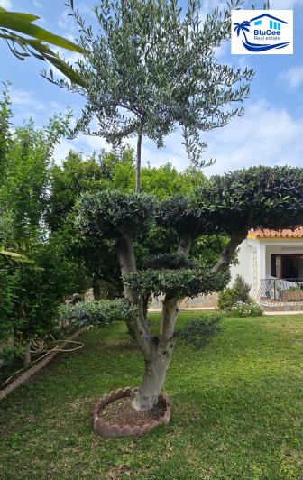 Image No.32-4 Bed Villa for sale