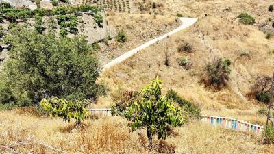 FOR-SALE-BLUCEE-REAL-ESTATE-ALMACHAR-CATCHPOLE--5-