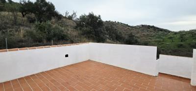 For-sale-Rustic-house-with-Mango-Plot---BluCee-Real-Estate--4-