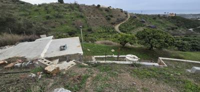 For-sale-Rustic-house-with-Mango-Plot---BluCee-Real-Estate--9-