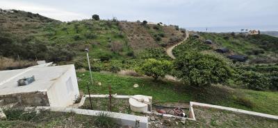 For-sale-Rustic-house-with-Mango-Plot---BluCee-Real-Estate--11-