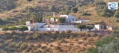 For-sale-rustic-house-with-mango-trees-on-the-Costa-del-Sol---BluCee-Real-Estate--2-