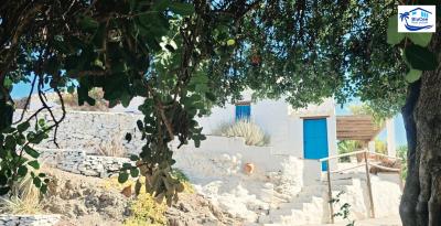 For-Sale-Finca-in-Velez-Malaga--34-