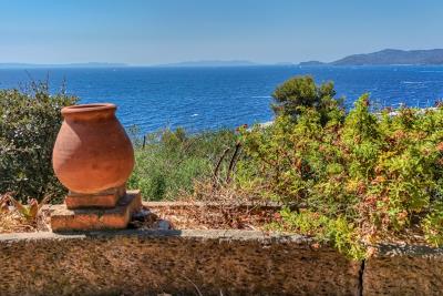 lavandou-15