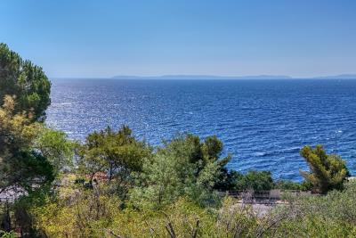 lavandou-5
