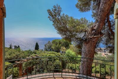 lavandou-27