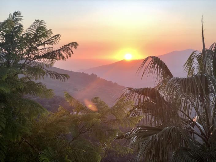 Image No.46-3 Bed Finca for sale