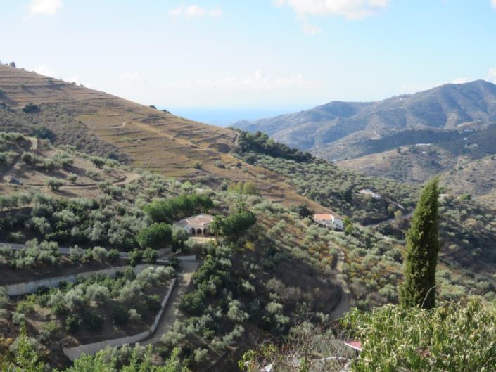 Image No.44-3 Bed Finca for sale