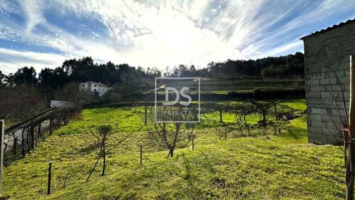 Image No.3-Terre à vendre à Amarante