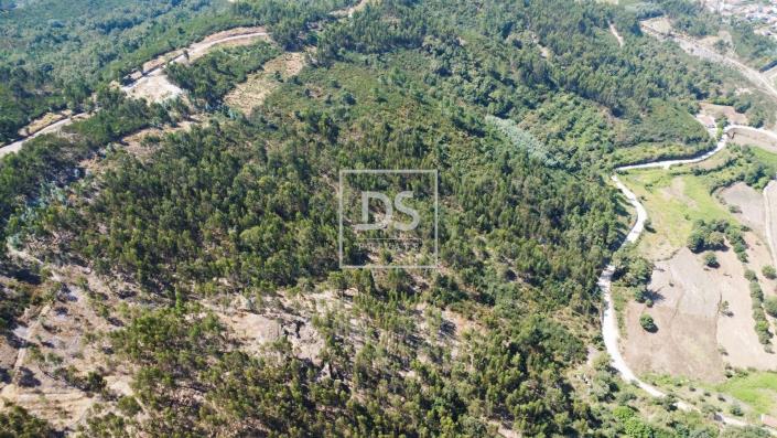 Image No.5-Terre à vendre à Amarante