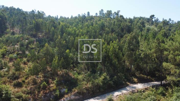 Image No.6-Terre à vendre à Amarante