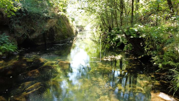 Image No.8-Land for sale