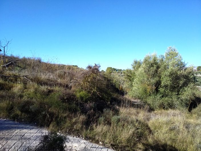 Image No.3-Property for sale