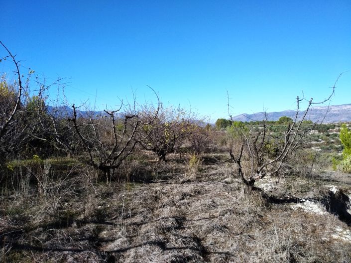 Image No.4-Property for sale