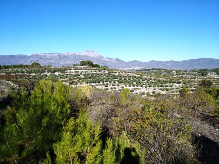 Image No.7-Property for sale