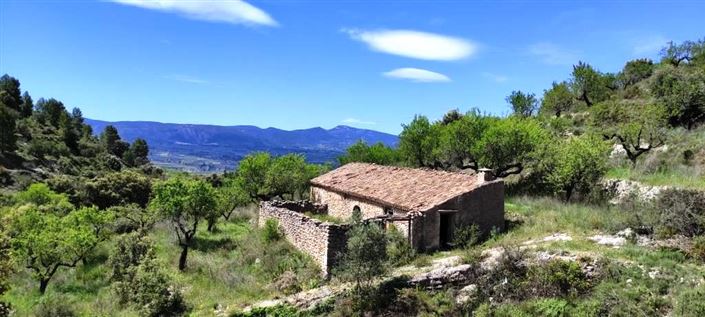 Image No.2-Finca à vendre à Benasau