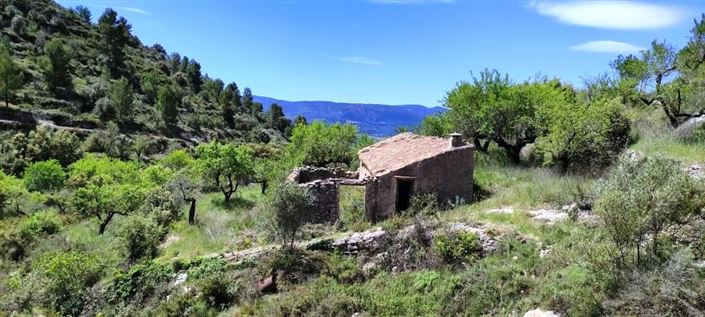 Image No.4-Finca à vendre à Benasau