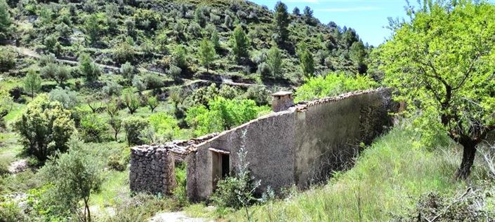 Image No.5-Finca à vendre à Benasau