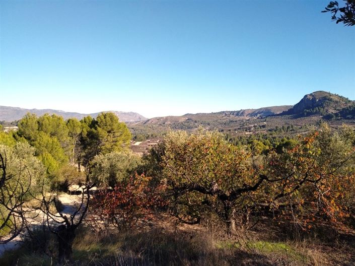 Image No.10-Property for sale