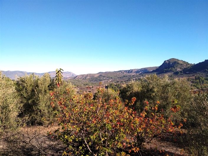 Image No.4-Property for sale