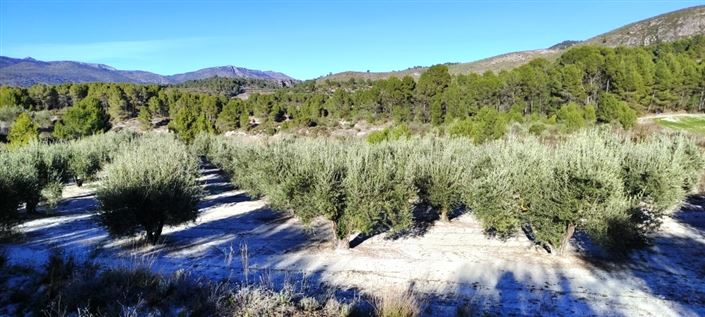 Image No.10-Property for sale