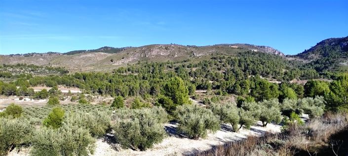 Image No.4-Property for sale