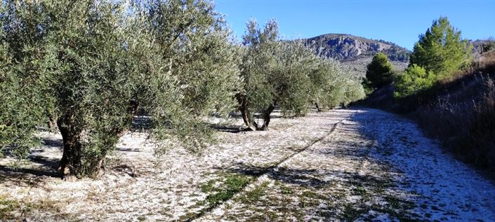 Image No.6-Property for sale