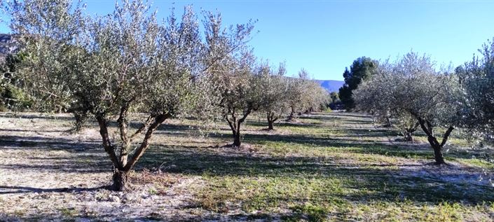 Image No.9-Property for sale