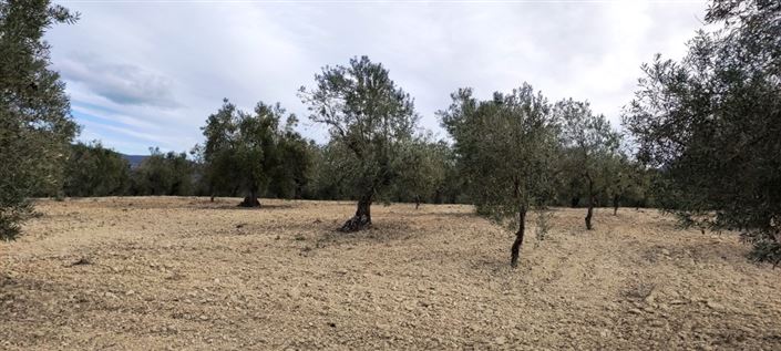 Image No.9-Propriété à vendre à Penáguila