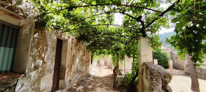 Image No.7-12 Bed Finca for sale