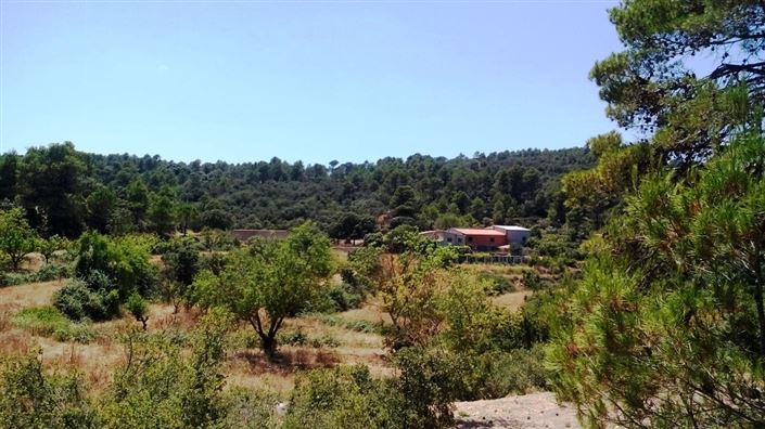 Image No.2-4 Bed Finca for sale
