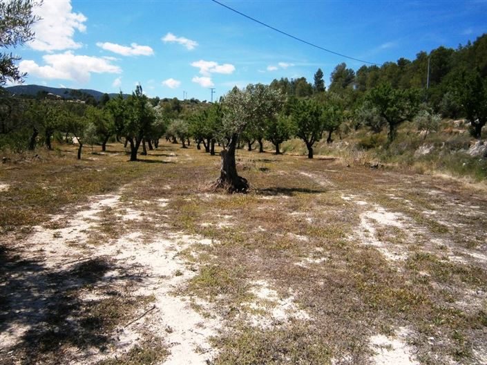 Image No.6-Country House for sale