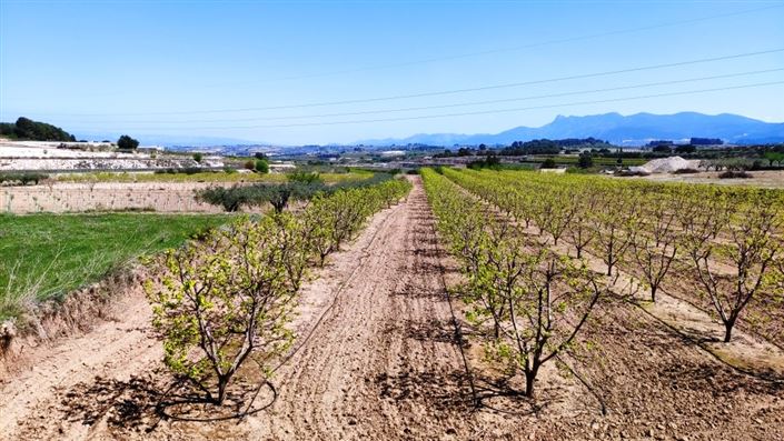 Image No.4-Country House for sale