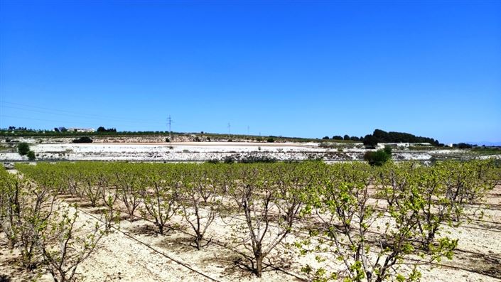 Image No.6-Country House for sale