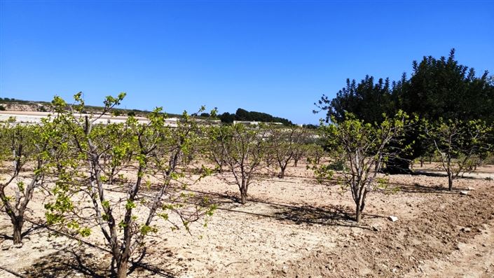 Image No.8-Country House for sale