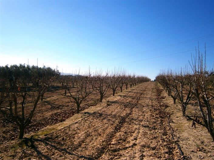 Image No.6-Country House for sale