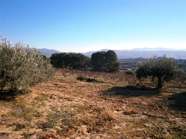 Image No.7-Country House for sale