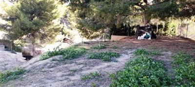 1 - Cocentaina, Property