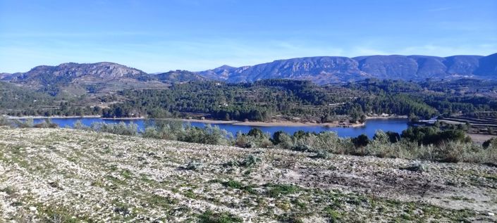 Image No.3-Propriété à vendre à Planes