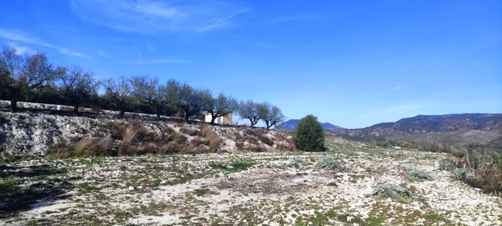 Image No.4-Propriété à vendre à Planes