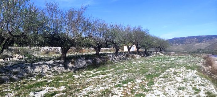 Image No.5-Propriété à vendre à Planes