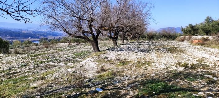 Image No.8-Propriété à vendre à Planes