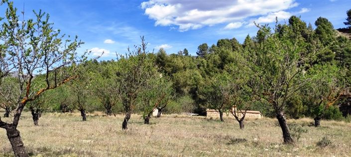 Image No.10-Property for sale