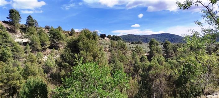 Image No.3-Property for sale