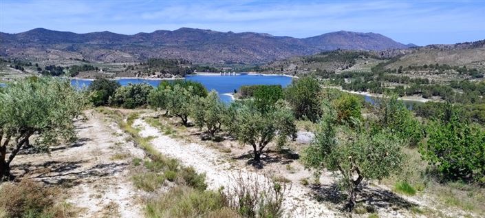 Image No.2-Propriété à vendre à Planes