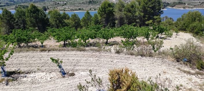 Image No.4-Propriété à vendre à Planes