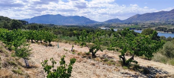 Image No.5-Propriété à vendre à Planes