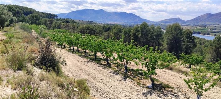 Image No.6-Propriété à vendre à Planes