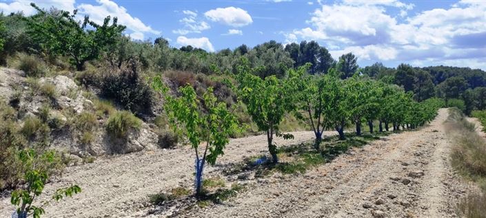 Image No.8-Propriété à vendre à Planes